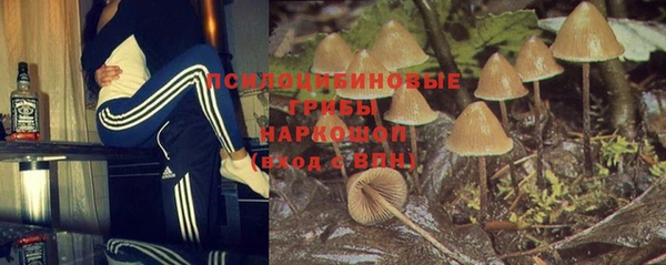 крисы Володарск