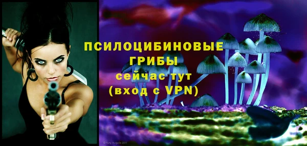 крисы Володарск