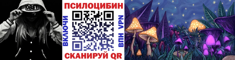 сколько стоит  Юрьевец  kraken зеркало  Галлюциногенные грибы MAGIC MUSHROOMS 